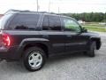 2003 Dark Gray Metallic Chevrolet TrailBlazer LT 4x4  photo #4