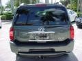 2008 Silver Graphite Gray Infiniti QX 56  photo #7