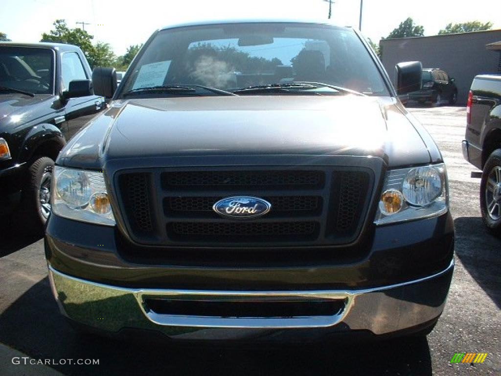 2006 F150 XLT Regular Cab - Dark Stone Metallic / Medium Flint photo #2