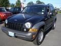 Black Clearcoat - Liberty Sport 4x4 Photo No. 1