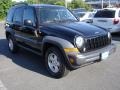 Black Clearcoat - Liberty Sport 4x4 Photo No. 3