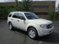 2010 White Suede Ford Escape XLT 4WD  photo #1