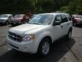 2010 White Suede Ford Escape XLT 4WD  photo #10