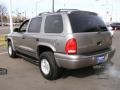 Bright Platinum Metallic - Durango SLT 4x4 Photo No. 2