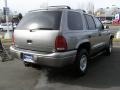 Bright Platinum Metallic - Durango SLT 4x4 Photo No. 4