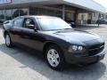 Brilliant Black Crystal Pearl - Charger  Photo No. 1