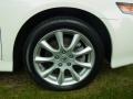 Premium White Pearl - TSX Sedan Photo No. 11