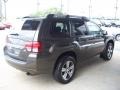 2011 Carbon Pearl Mitsubishi Endeavor SE AWD  photo #25