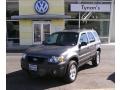 2006 Dark Shadow Grey Metallic Ford Escape XLT V6 4WD  photo #1