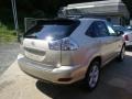 Savannah Beige Metallic - RX 350 AWD Photo No. 2