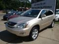 Savannah Beige Metallic - RX 350 AWD Photo No. 4