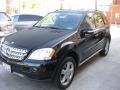 Black - ML 350 4Matic Photo No. 8