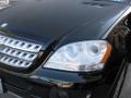 Black - ML 350 4Matic Photo No. 26
