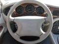 Platinum Silver - XJ XJ8 Photo No. 14