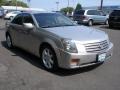 Light Platinum - CTS Sedan Photo No. 3