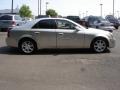 Light Platinum - CTS Sedan Photo No. 7