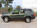 Everglade Pearlcoat - Grand Cherokee Laredo 4x4 Photo No. 5