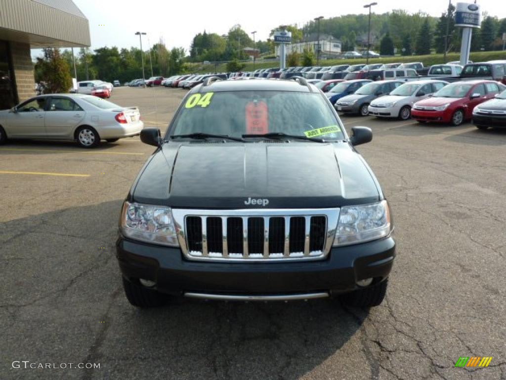 2004 Grand Cherokee Limited 4x4 - Brillant Black Crystal Pearl / Dark Slate Gray photo #7