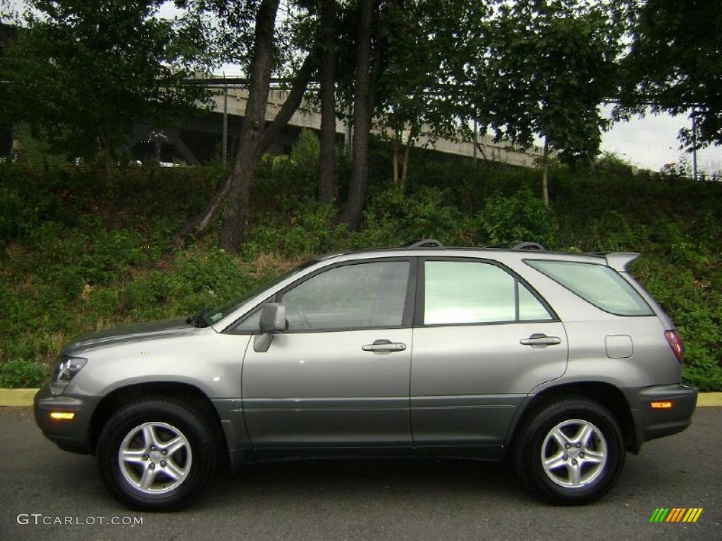 2000 RX 300 AWD - Mineral Green / Ivory photo #3