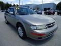 Sterling Mist Metallic - Maxima GXE Photo No. 10