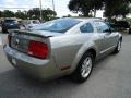 2009 Vapor Silver Metallic Ford Mustang V6 Premium Coupe  photo #11