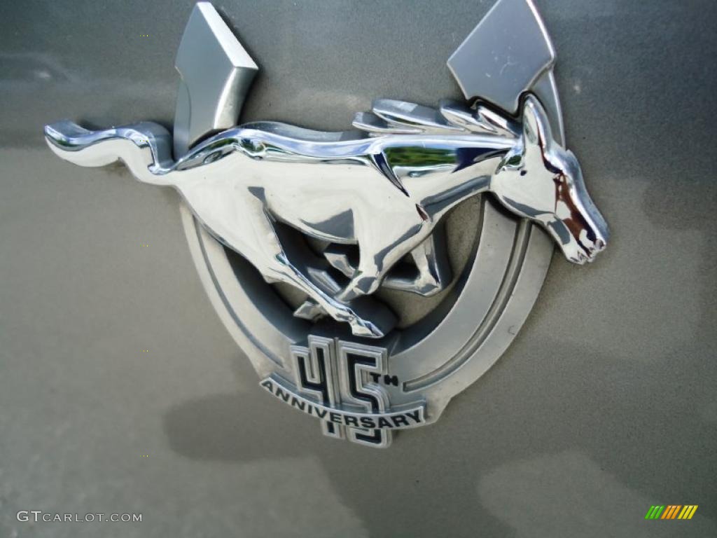 2009 Mustang V6 Premium Coupe - Vapor Silver Metallic / Light Graphite photo #14