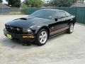 Black - Mustang V6 Deluxe Coupe Photo No. 7