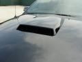 Black - Mustang V6 Deluxe Coupe Photo No. 10