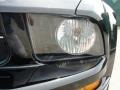 Black - Mustang V6 Deluxe Coupe Photo No. 11