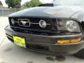 Black - Mustang V6 Deluxe Coupe Photo No. 13