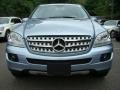 Alpine Rain Metallic - ML 350 4Matic Photo No. 2