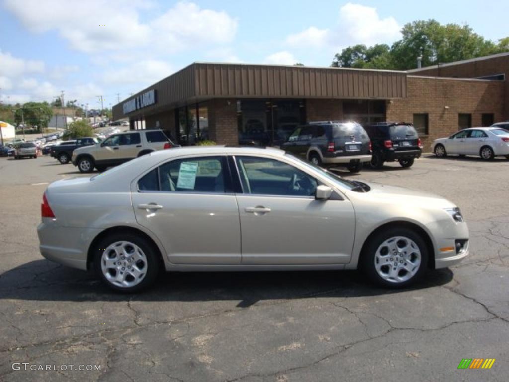 2010 Fusion SE - Smokestone Metallic / Medium Light Stone photo #2