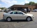 2010 Smokestone Metallic Ford Fusion SE  photo #2