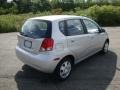 Cosmic Silver - Aveo LS Hatchback Photo No. 3