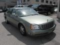Green Silk - DeVille Sedan Photo No. 4