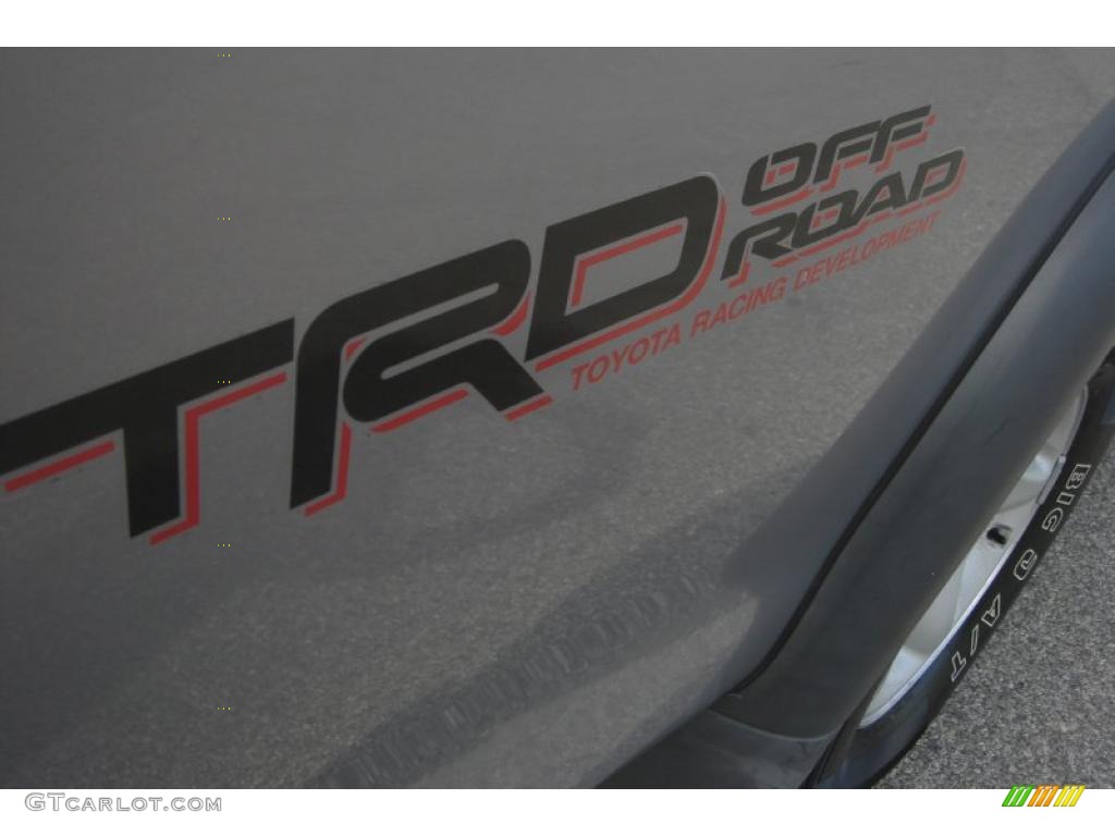 2002 Tundra SR5 TRD Access Cab 4x4 - Thunder Gray Metallic / Light Charcoal photo #9