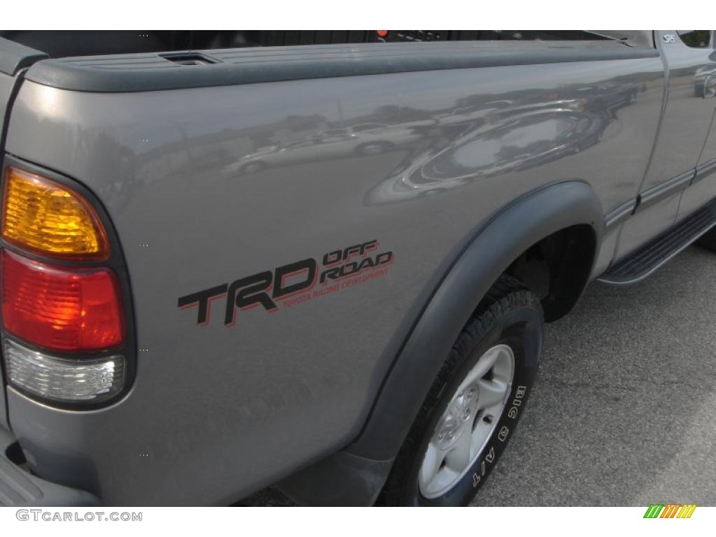 2002 Tundra SR5 TRD Access Cab 4x4 - Thunder Gray Metallic / Light Charcoal photo #10