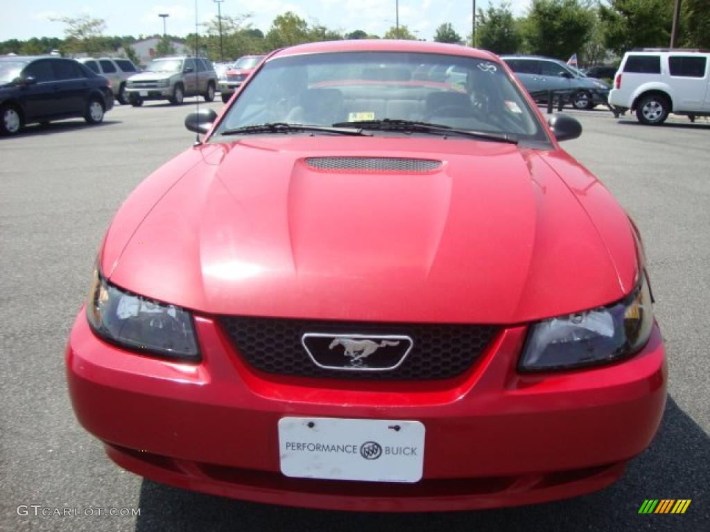 1999 Mustang GT Coupe - Rio Red / Dark Charcoal photo #8