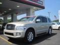 Serengeti Sand - QX 56 4WD Photo No. 1