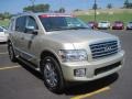 Serengeti Sand - QX 56 4WD Photo No. 2