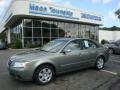 Willow Gray - Sonata GLS Photo No. 1
