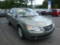 Willow Gray - Sonata GLS Photo No. 5