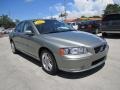 Willow Green Metallic - S60 2.5T Photo No. 7
