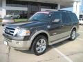2008 Stone Green Metallic Ford Expedition King Ranch  photo #1