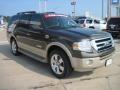 2008 Stone Green Metallic Ford Expedition King Ranch  photo #2