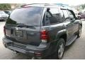 Graphite Metallic - TrailBlazer LS 4x4 Photo No. 15