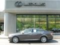 Truffle Brown Mica - ES 350 Photo No. 2