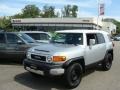 Titanium Metallic - FJ Cruiser 4WD Photo No. 1