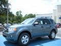 2010 Steel Blue Metallic Ford Escape XLT  photo #1