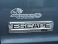 2010 Steel Blue Metallic Ford Escape XLT V6  photo #4
